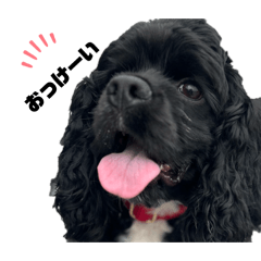 natsumi_20260129200401