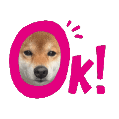 Ruchan_20260129211222