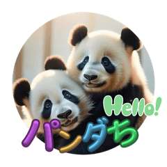 panda_20260129205429