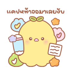 marisa_20260129204741