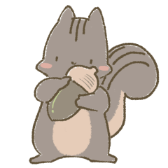 Little Squirrel though the seasons