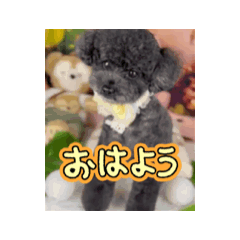 rieko_20260130005542