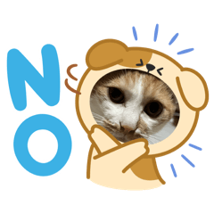 to-ki-jo_20260129214526