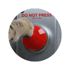 お酒とネコ好きな日常会話87