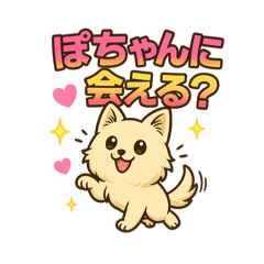 Suzu_20260127185829