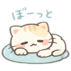 Darara Cat_20260129074214