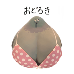 Big plump pigeon Sticker