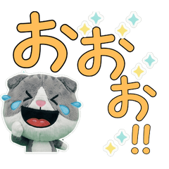 สกอตติชโฟลด์ สุภาพ  11th