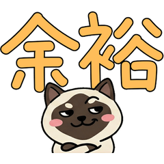 Colorpoint Shorthair  22nd