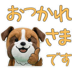 Moving Polite Boxer  12th