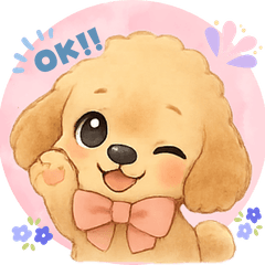 With a fluffy toy poodle