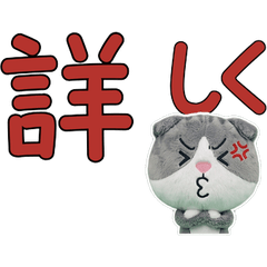 สกอตติชโฟลด์ สุภาพ ขยับ  12th