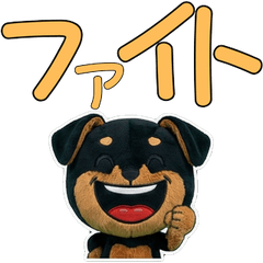 ตุ๊กตา ร็อตไวเลอร์ ขยับ  10th