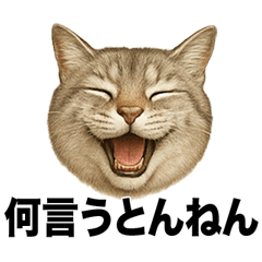 Irre Kosuya Waraunekonokansaiben