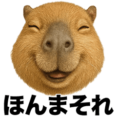 Irre Kosuya Kapibarakansaiben