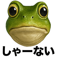 Irre Kosuya Siryobukaikaerukansaiben