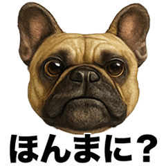 Irre Kosuya Fureburukansaiben