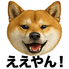 Irre Kosuya Shibakenkansaiben