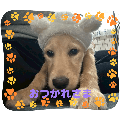 mirai_20260129162717