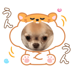 mugi_2026