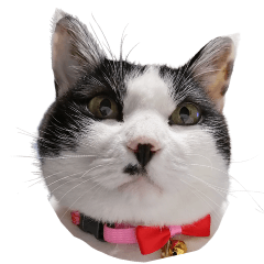 SUZUKI family cat myo