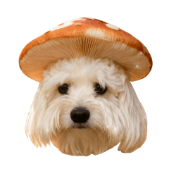 はるのつむじ　その8