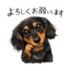 FUWARIN_20260129173741