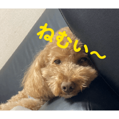 Mugi_20260129183504
