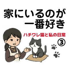 ハチワレ猫と私の日常③ 家でゆっくり編