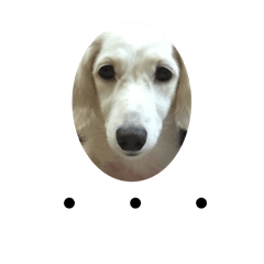 hanakoro.gohan_20260129183452