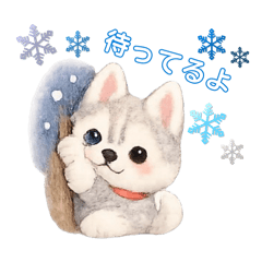 CHIHIRO_20260129184628