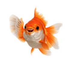 Whyalwaysme_20260129193556