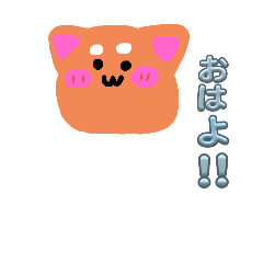 MUGI_20260129202939