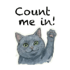 Are you a fan of Russian Blues?