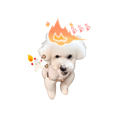 小丸寶寶