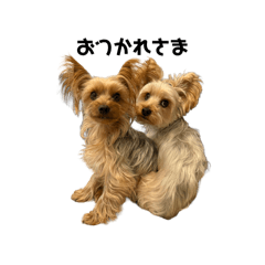 kotetsu_20260129210544