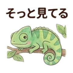 爬虫類系の生き物たちなど