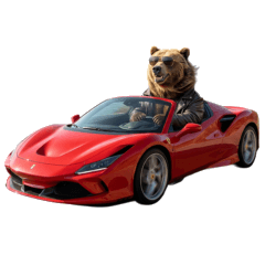Crazy Bear Who Loves Vehicles!