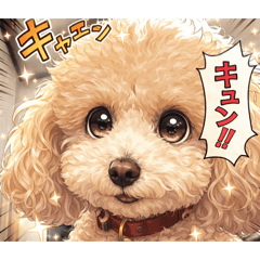 ririy_20260129170105