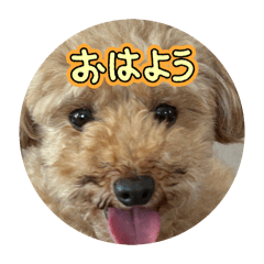 kana_20260129171256
