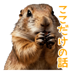 Daily Gossip with Prairie Dogs