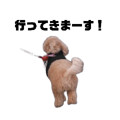 HIDEKI_20260129211703