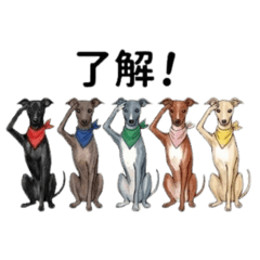 ohagidaisuki_20260129212822