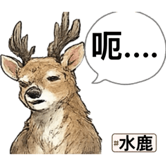 臺灣一級保育類動物