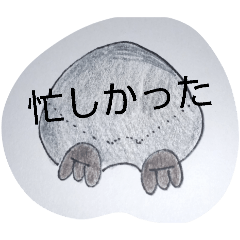 mickey_20260129190025