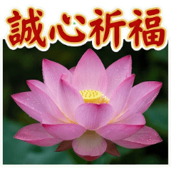 Sincere Blessings: Peace & Health