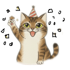 貍花貓芮芮的日常