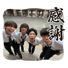 wakame_20260128135429