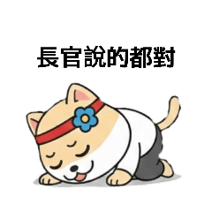 巴結貓-職場生存戰