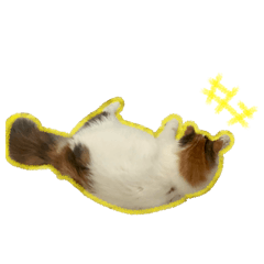 Sayuri_20260129220349